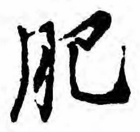 㐌定位肥