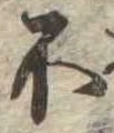 不の位置
