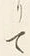 Character り
