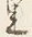 Character 里