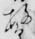 文字昌