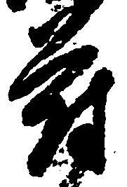 Đã định vị 府