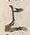 「上」字