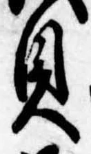 已定位貝