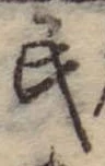 位置 確認된 民