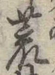 位置 確認된 荒