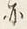 𡨸し