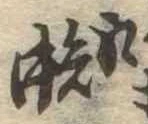 位置定マレル蜘