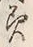 文字 美
