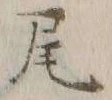 Character 尾
