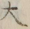 𡨸大
