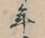 位置 確認된 年