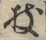 枝，已得其位
