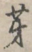 位置 確認된 芽