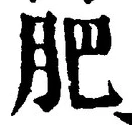 Chữ 肥