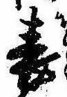位置 確認된 表