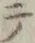 𡨸撰