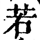 「若」字