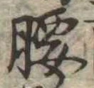 Located 腰