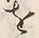 Character 立