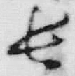 字長