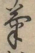 已定位菊