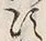 文字路