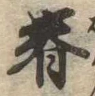位置 確認된 春