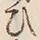 Character 外