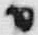 Chữ 申