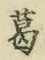 字葛