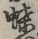 位置定マレル蝶