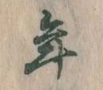 位置 確認된 年
