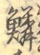 位置 確認된 鱗