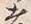 𡨸者