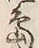 文字 島