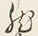 𡨸し