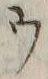 “ソ”字