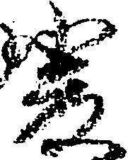 厳の位置