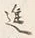 字進