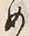 文字め