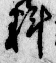 位置定マレル科