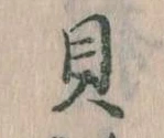 已定位貝