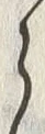 文字 植