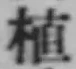 字植