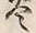 𡨸炎