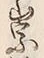 字崇