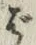 文字ば