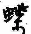 位置定マレル蝶