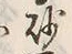 Character 豆